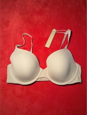 Skims Fits Everybody T Shirt Bra Color Sienna Size 34C